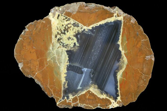 Polished Thunderegg Geode Half - Oregon #73865